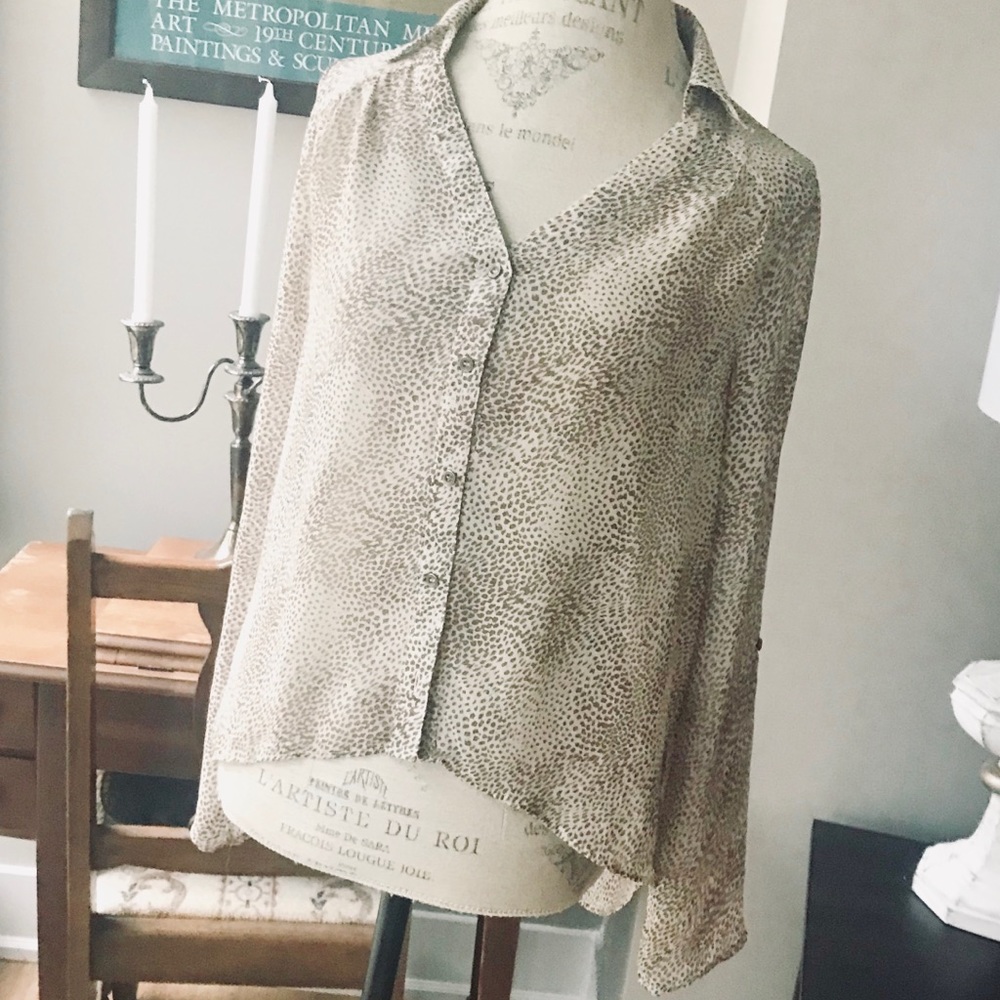 Have Sheer Animal Print Button Down Blouse Sz L